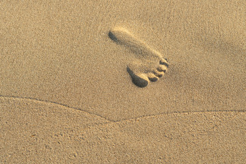 The footprints of children on the beach