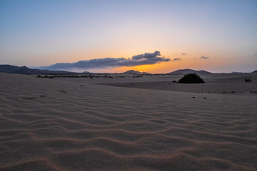 Sunset at the Dunes El Jable of National Park de Corralejo, Fuerteventura. October 2019