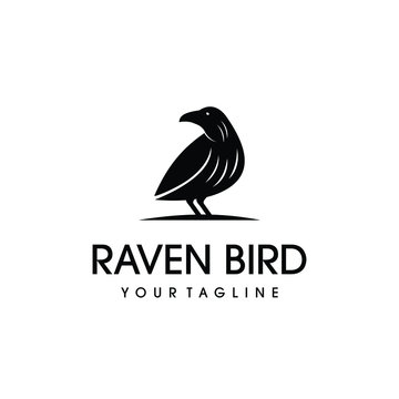 Raven bird logo vector design. Awesome a raven logo. A raven bird logotype.
