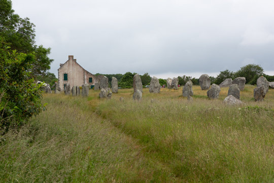 Menhirs from "Alignements de Carnac", Morbihan region, France