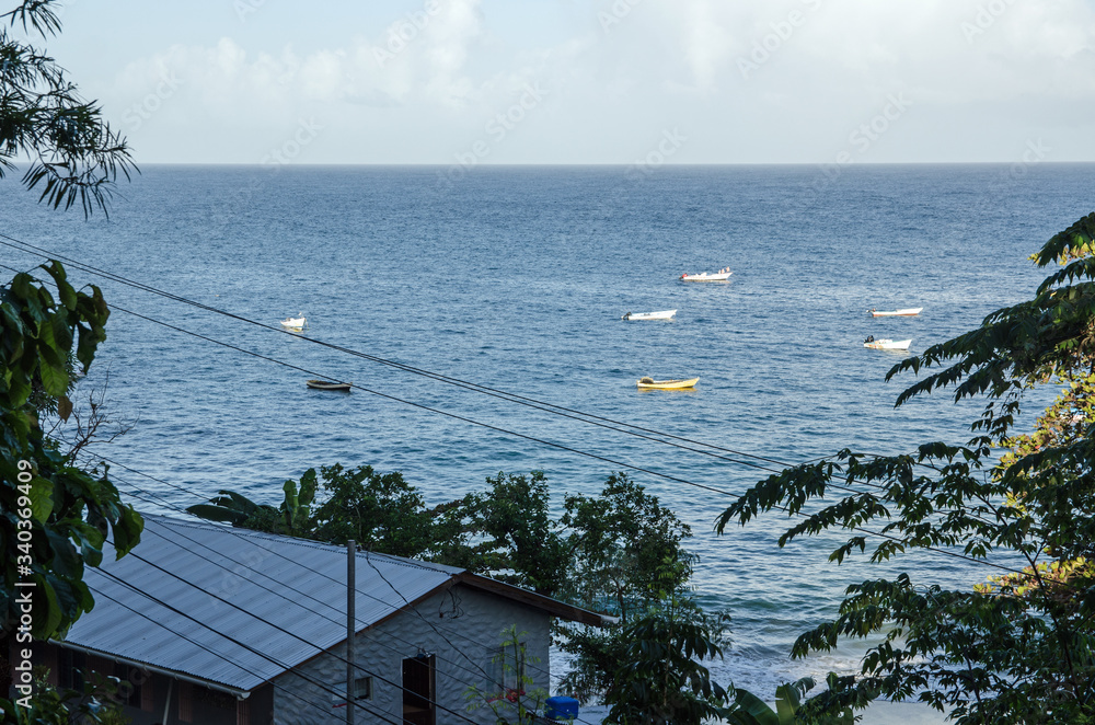 Wall mural Fishing boats moored in Castara Bay Tobago - Wall murals