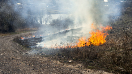 Burning dry grass in early spring. Background