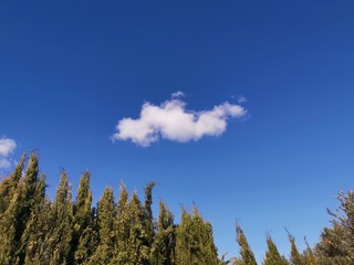 cloud