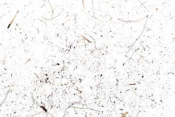 Dry cut green and yellow grass leaves, dirt dust isolated on white background and texture, top view