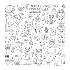 Fototapeta premium Cute doodle forest animals. Cartoon characters and lettering