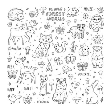 Cute doodle forest animals. Cartoon characters and lettering © Viktoriia