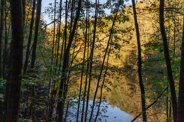 Fototapeta na wymiar Lake in black forest with autumn leaves