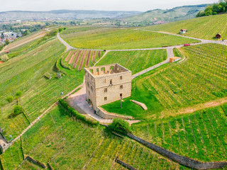 Y Burg Stetten  Yburg (Remstal) Eibenburg drohnenbild Ruine Hangburg Weinberge Wohnburg  Wasserburg...
