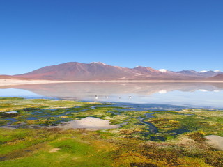 Salt lake Laguna Blanca in the Potosi Department, Bolivia. Copy space for text
