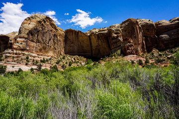 red rock canyon