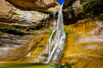 waterfall in the forest