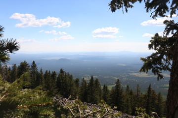 Obraz premium Humphrey's Peak Mountain Overlook