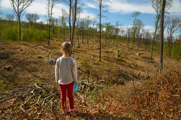 Deforestation. Ecological problems of the planet, deforestation of pine forests. little girl inspects the site of deforestation