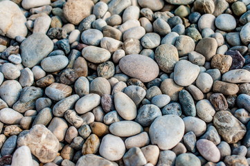 Sea pebbles. Background of pebbles. Wet stones. Multicolored pebbles. Sea shore.