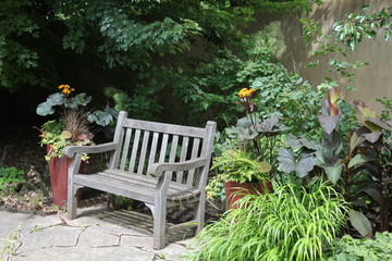 RELAX IN GARDEN AND SIT ON A WOOD BENCH WITH GREEN PLANTS AROUND 
