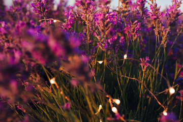 Lavender background with golden bokeh circles. Copy space for your text. Flat lay style. Top view.