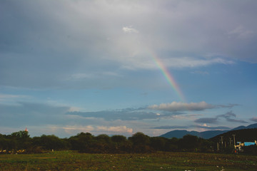 Arcoiris