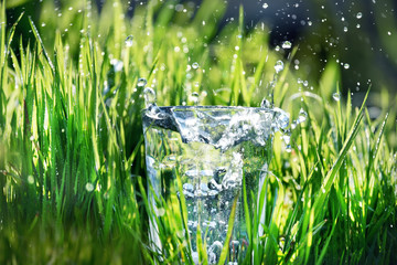 Water splash in a glass on a background of green grass.