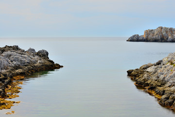paisaje de rocas en el mar con algas y cielo azul 