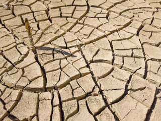 Overhead top view of dry arid soil with cracks during intense heat. Lack of water on agriculture field. Concept of global warming.