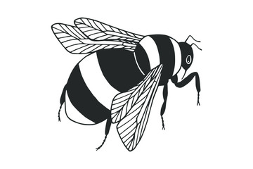 Insect bumblebee. eps10 vector stock illustration. hand drawing. out line