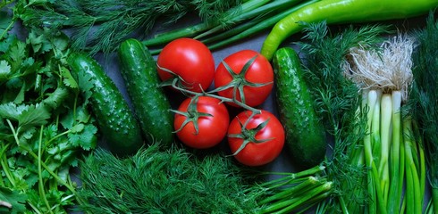 Freshly picked vegetables-tomatoes, cucumbers, onions, peppers, dill, coriander on a dark gray background. Vegetable composition 