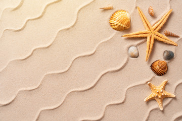Fototapeta na wymiar summer beach background with shell, sea star, vacation and travel concept, Flat lay top view copy space, Minimal exotic concept. Creative layout of sand waves.