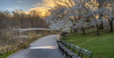 Bow bridge in early spring