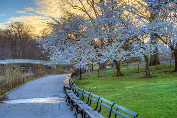 Bow bridge in early spring