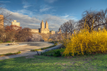 Central Park in spring