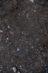 Texture