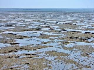 Ebbe im Wattenmeer