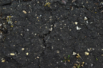 Surface of black soil and humus with manure