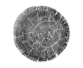 Black and white wood texture stamp art. Detailed tree ring design. Rough organic tree rings end...