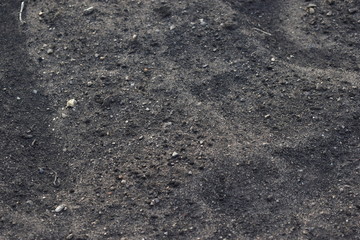 Surface of black soil and humus with manure