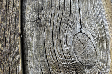 Fototapeta premium The surface of old cracked and rotten wood
