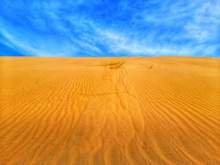 Fototapeta na wymiar Sand dunes in desert of Algeria