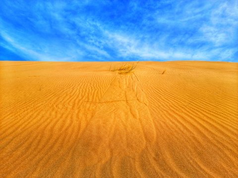 Sand dunes in desert of Algeria © younes39