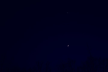 Night dark blue sky with a star and Moon. Landscape with branches.