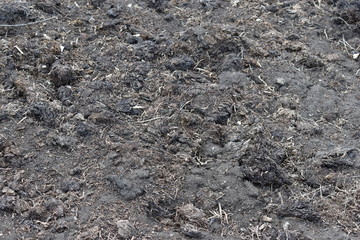 Surface of black soil and humus with manure