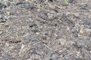 Surface of black soil and humus with manure