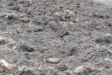 Surface of black soil and humus with manure