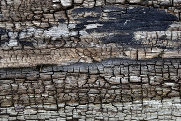 The surface of old cracked and rotten wood