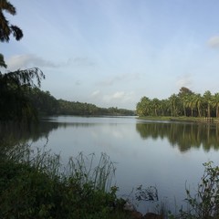 lake water view