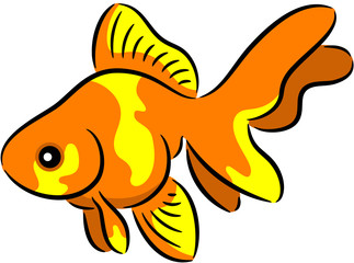 Goldfish