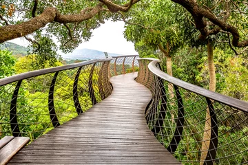 Photo sur Plexiglas Montagne de la Table Kirstenbosch Botanical Garden in Cape Town South Africa