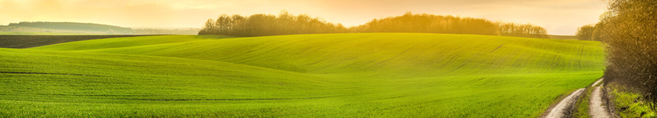 panoramic view of farmland in hilly countryside at sunset in spring © pavlobaliukh