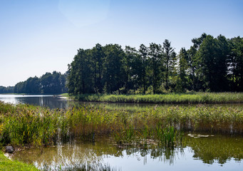 Krajobraz jeziora i drzew