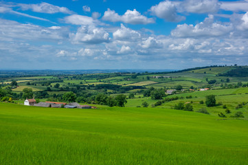 Naklejka premium Rolling green hills and fields