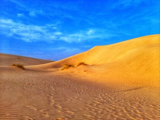 Fototapeta na wymiar Sand dunes waves in desert
